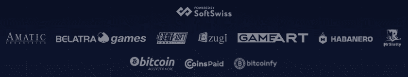 Bitcoinpenguin Payment options