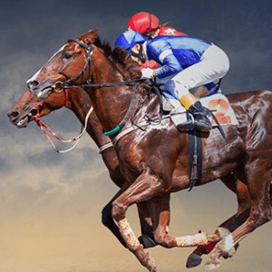 Betphoenix Horse Racing Betting Bonus