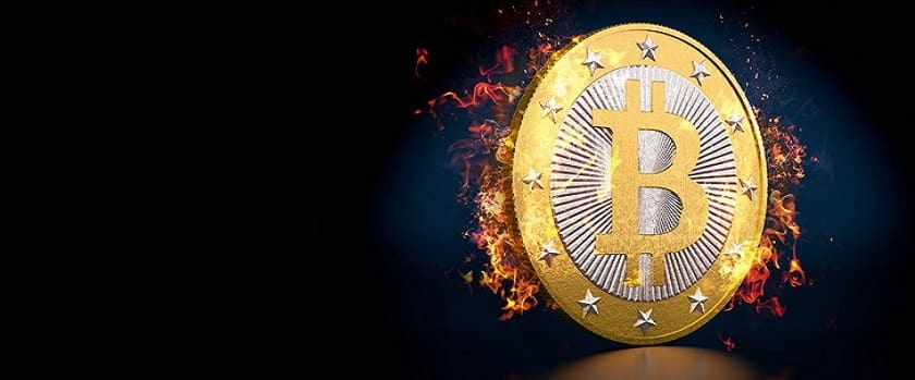 1xbit Bonus Points for Placed Bets Promotion