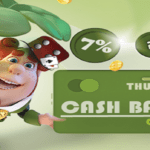 Betbeard Thursday Casino Cashback Promotion Offers %7 Return