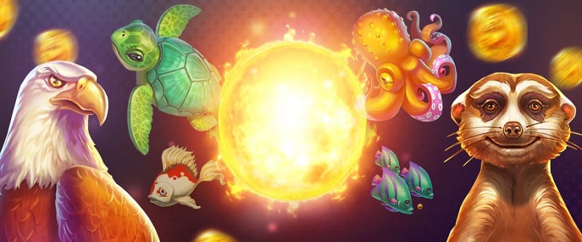 1xbit Barbara Bang Tournament Offer 50 mBTC