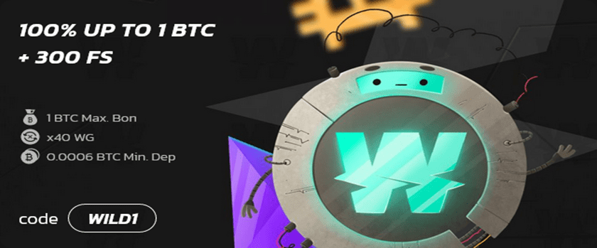 Wildcoins First Deposit Bonus Promotion Offers 100% Bonus