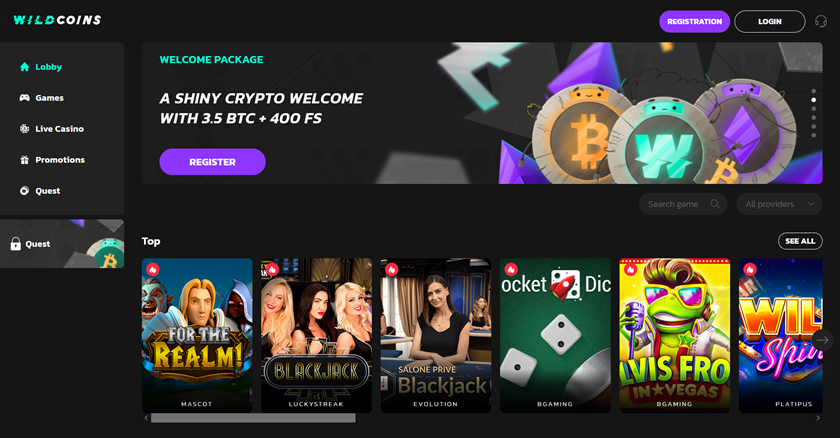 WildCoins Crypto Casino