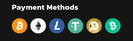 WildCoins Payment Methods