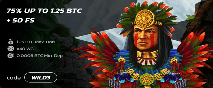 Wildcoins Third Deposit Bonus Promotion Offers 75% Bonus
