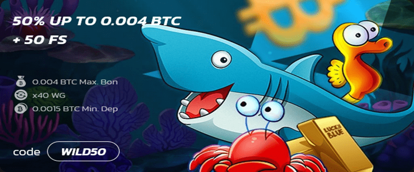 Wildcoins Thursday Reload Bonus Promotion Offers 50% Bonus