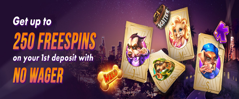 Chipstars.bet First Deposit Bonus Offers Up to 250 FS