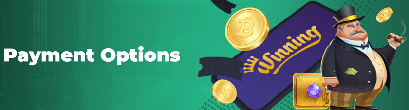 Winning.io Deposit and Withdrawal Options