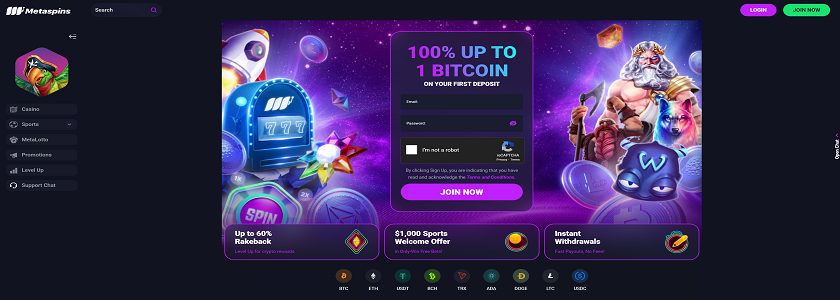 Metaspins Homepage
