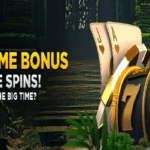 WildCasino 650% Welcome Bonus Package
