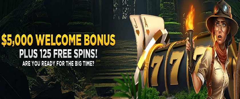 WildCasino 650% Welcome Bonus Package