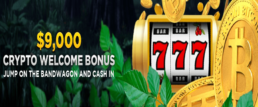 WildCasino 900% Crypto Welcome Bonus Package