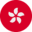 Hong Kong Chinese