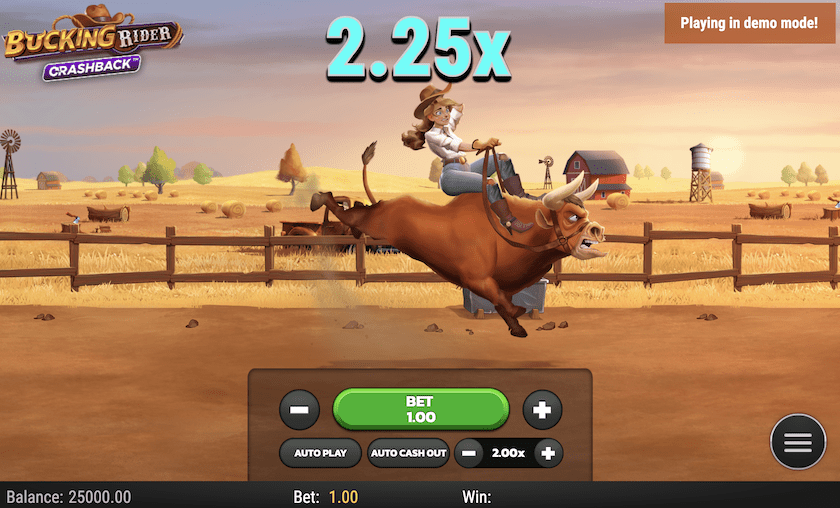 Bucking Rider